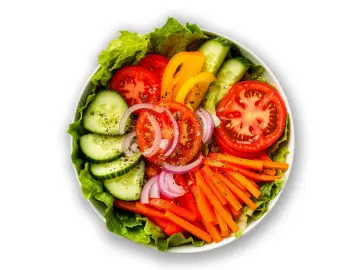 Vegetariánské